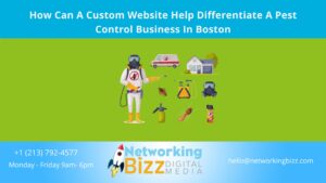 How Can A Custom Website Help Differentiate A Pest Control Business In Boston